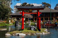 Scenic view of a Japanese garden in Buenos Aires with a traditional red Shinto gate.